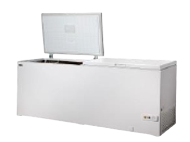 Congélateur DSL 600 L